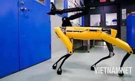 Chó Robot giám sát công trình xây dựng chặt chẽ đến từng chi tiết