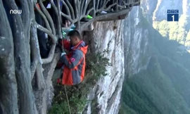 Người chuyên đu dây dọn rác trên vách núi cao 1.500m cực nguy hiểm