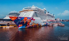 Ngất ngây với cảng du lịch sang chảnh ngàn tỷ giữa Hạ Long