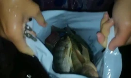 Dân Đà Nẵng nô nức xách xô ra đường bắt cá