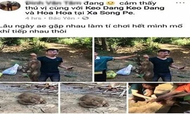  5 kẻ giết khỉ rồi livestream trên mạng xã hội khai gì?