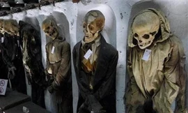 Rùng mình vụ buôn lậu 50 bộ xương người trong vali