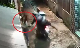 Cướp giật phăng túi xách của cô gái đi bộ trong ngõ