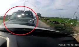 Tài xế say xỉn gây tai liên hoàn thảm khốc ở Hà Nội