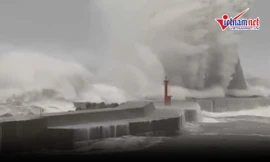 Nhật Bản oằn mình gánh siêu bão Trami có sức gió cuốn bay mọi thứ