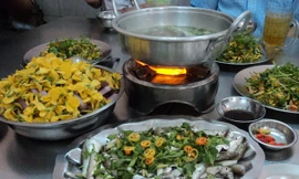 Mùa bông điên điển, cá linh