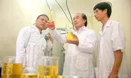 Xây dựng đại học nghiên cứu: Dễ nói khó làm