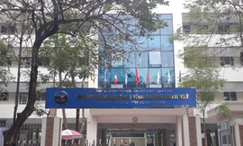 25 học sinh chuyên tiếng Hàn chưa biết thi tốt nghiệp THPT môn ngoại ngữ nào