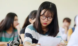 Sinh viên cần được đào tạo trong môi trường thực tế