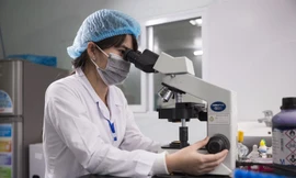 3 ĐH Việt Nam lọt top 500 trường ĐH tốt nhất châu Á