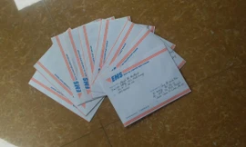 Chưa được xét đặc cách, giáo viên hợp đồng Hà Nội gửi tâm thư lên Thủ tướng