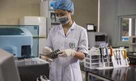 85% công bố quốc tế tại Việt Nam là của ngành giáo dục