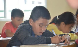 231 cái tát của các bạn giành cho N giống như một cái tát vào bệnh thành tích của ngành giáo dục