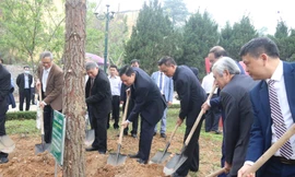 Một trường đại học phấn đấu trồng 75.000 cây xanh