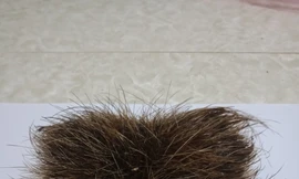 Người dân phát hiện 'vật thể lạ' trong bụng lợn nái hơn 100kg