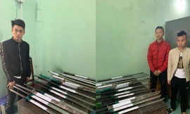 Các đối tượng bị bắt giữ