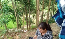 Trẻ sơ sinh được người dân phát hiện trên cánh đồng