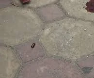 Nổ súng sau khi hát karaoke, hai người bị thương 