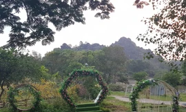 Cưỡng chế thu hồi đất xây dựng đường lên động Tiên Sơn