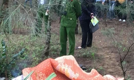 Phát hiện thi thể người đàn ông Hàn Quốc ở rừng phi lao