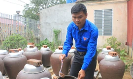 Chuyện bí thư đoàn với ý tưởng khởi nghiệp làm tương