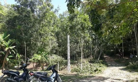 Hiện trường thi công đường điện