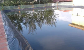 Ảnh bể bơi trước khi bị lấp. Ảnh: Bạn đọc cung cấp