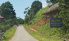 Cây dược liệu bị khai thác cạn kiệt ở rừng đặc dụng