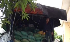 Bắt giữ gần 1000 chai rượu ngoại không có giấy tờ hợp lệ