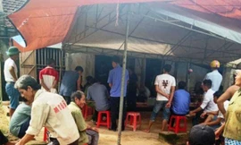 Con trai đoạt mạng mẹ đẻ