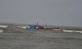Hai ngư dân mất tích trên biển Quảng Ninh sau va chạm tàu