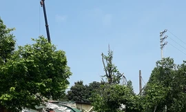 Hiện trường cột phát sóng bị đổ tại thị trấn Thường Xuân. Ảnh: Hoàng Lam