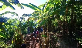 Vùng lũ Mường Lát cạn lương thực: Vượt sông, băng rừng cứu trợ