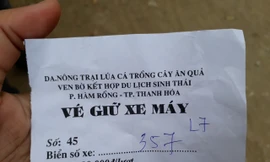 Tự ý thu vé trông xe giá 'cắt cổ' ở khu di tích