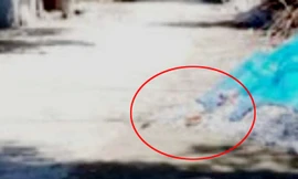 Vị trí đoạn đường nơi Hiệp gặp tai nạn dẫn đến tử vong