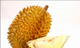 Sầu riêng và 10 lợi ích cho sức khỏe