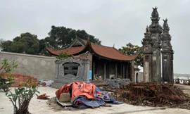 Mới nhất vụ tự ý chặt cây đa ở di tích quốc gia đặc biệt đình Chèm