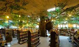 Vườn Tri thức Việt tịa 128 Xuân Thuỷ, Cầu Giấy, Hà Nội