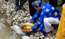 Thả cá chép ở khu di sản Hoàng thành Thăng Long