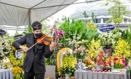 Bùi Công Duy chơi đàn tiễn biệt bố vợ-nhạc sĩ Phú Quang. Ảnh: Hải Bá