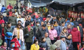 Bộ Văn hóa đề nghị tạm dừng lễ hội để phòng chống dịch