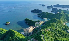 Flamingo Cát Bà: Điểm đến được săn đón bậc nhất hè 2022