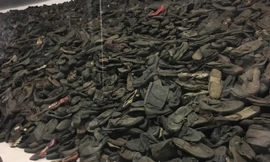 Hơn 6 triệu người Do Thái chết trong cuộc thảm sát song song với Thế chiến 2