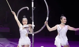 NSND Tống Toàn Thắng: Doanh thu vượt 200%, tiền bồi dưỡng cho diễn viên xiếc không quá 200.000 đồng