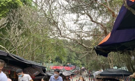 Chùa Hương không còn cảnh chen lấn. Ảnh: Nguyên Khánh