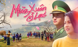 Lý do VTV không có phim phát sóng dịp Tết