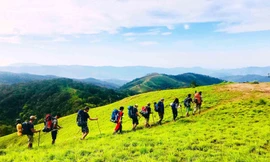 'Thật vô lý nếu không mở cửa du lịch hoàn toàn'