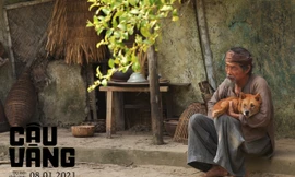 Cậu Vàng được mong chờ dịp đầu năm 2021