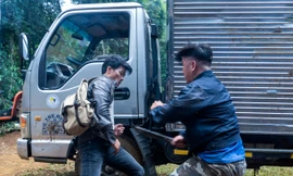 "Đỉnh mù sương" có suất chiếu sớm trước khi khởi chiếu