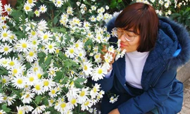 Hà Bích Hảo - “Mầm cây” vươn lên từ nghịch cảnh để sống rực rỡ như đóa hướng dương